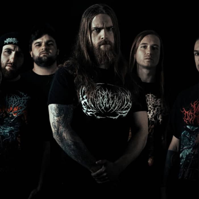 Organectomy cover image