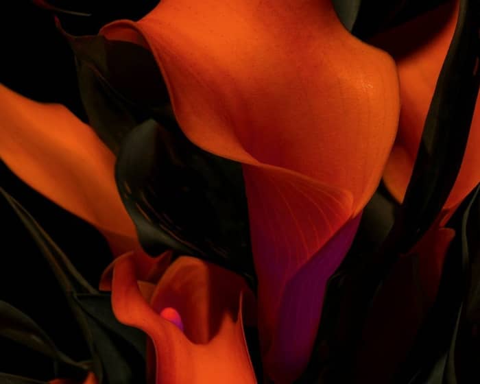 I Hate Models tickets