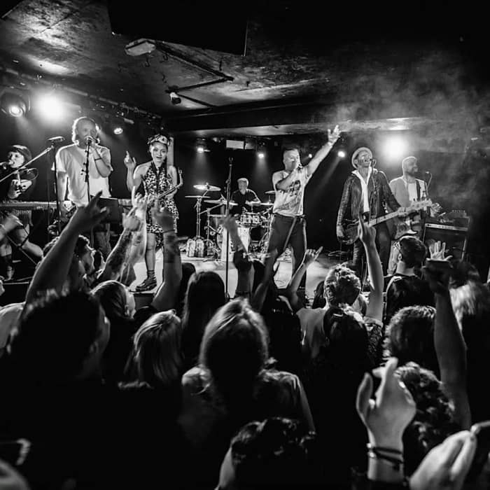 The King Blues cover image