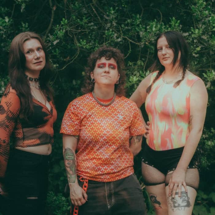 The Menstrual Cramps cover image