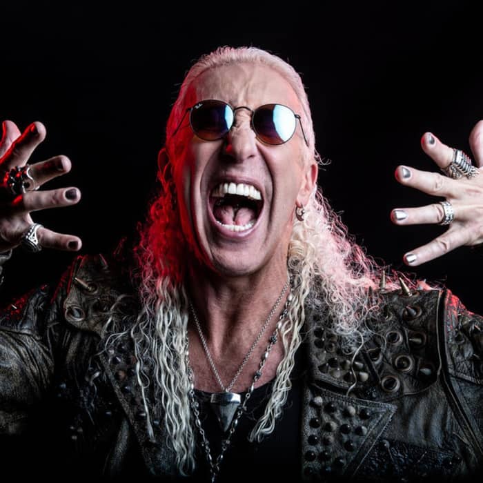 Dee Snider cover image