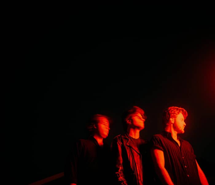 The Thing With Feathers cover image