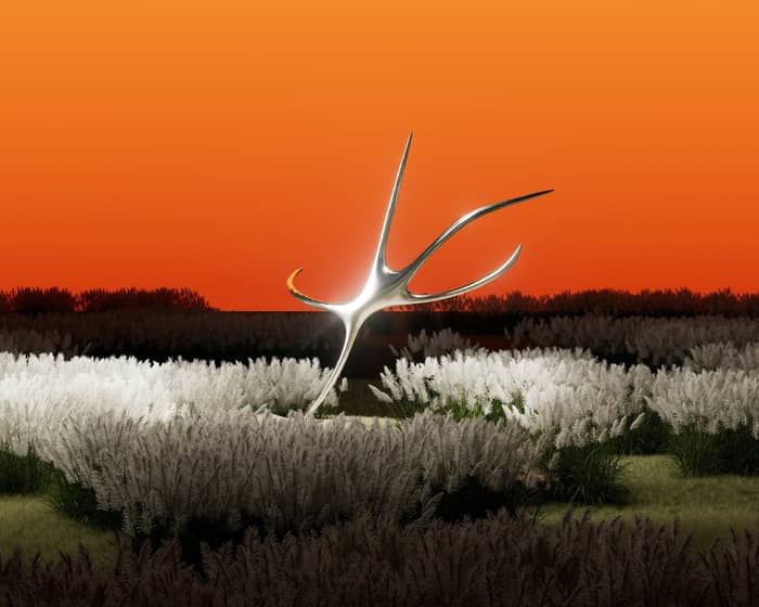 Sonder Festival cover image