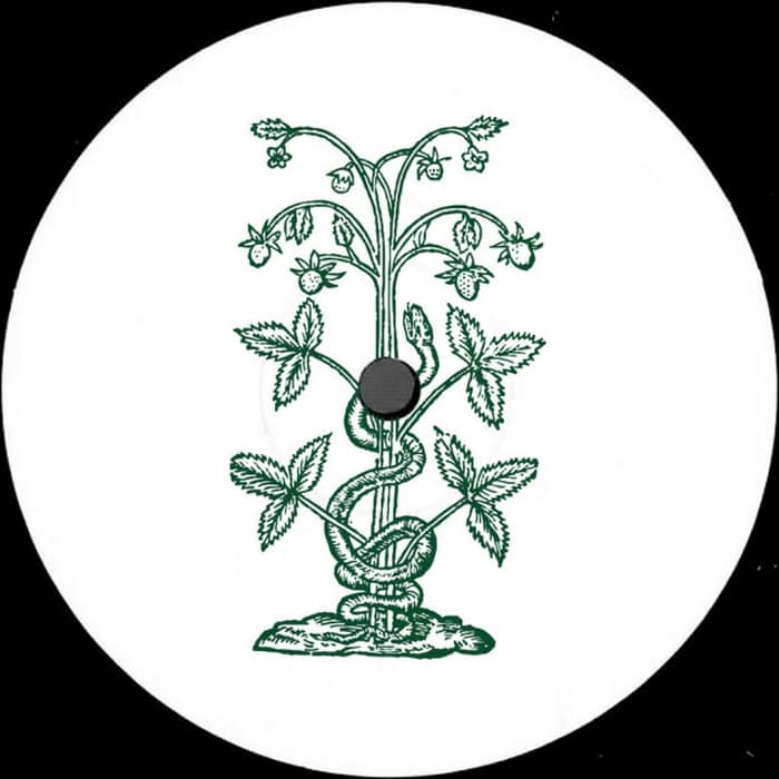 Blasha & Allatt cover image
