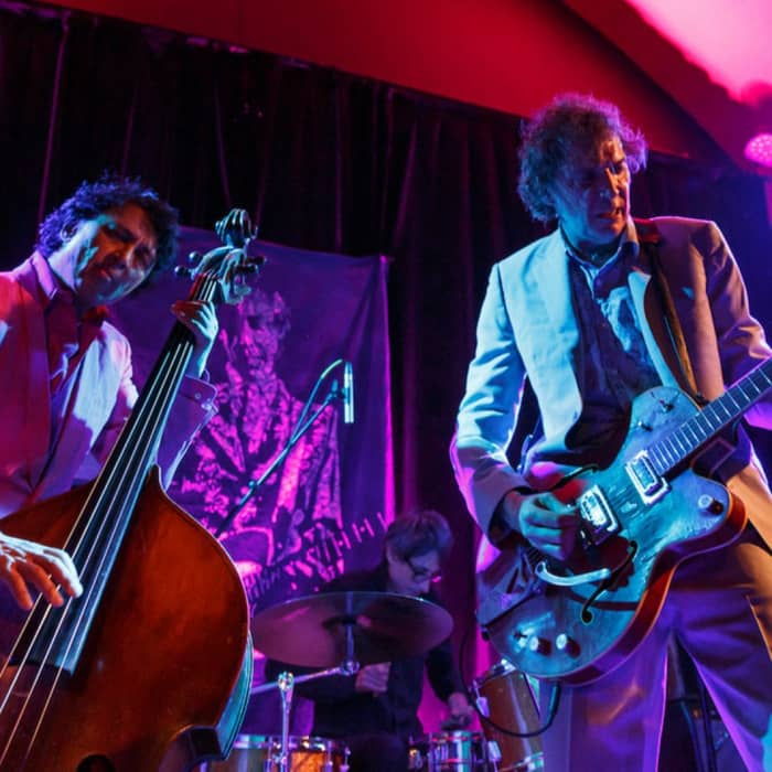 Steve Vai cover image