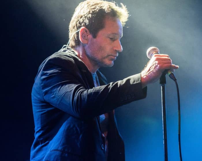 David Duchovny tickets