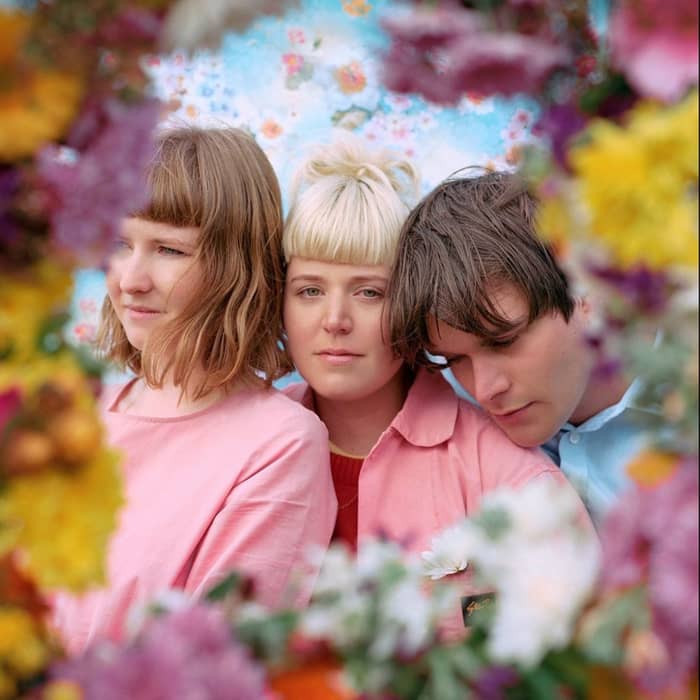 Loose Tooth cover image