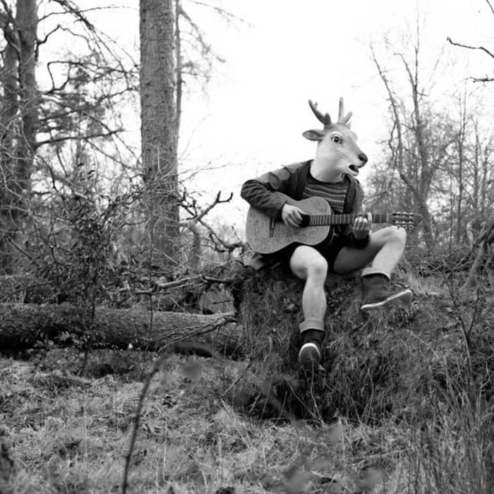 Beluga Lagoon cover image