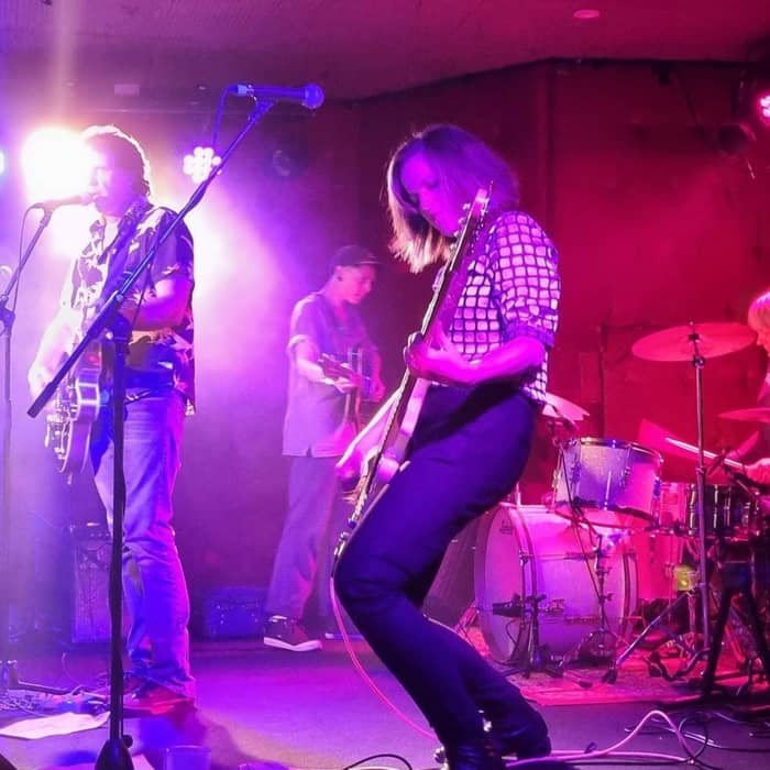 The Painkillers cover image
