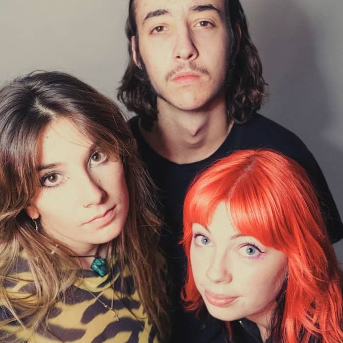 Baby Mullet cover image