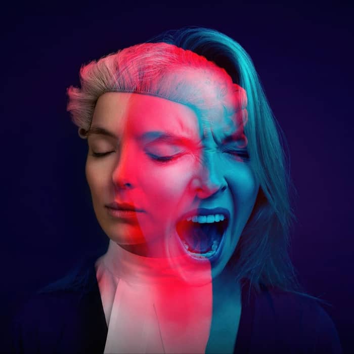 Prima Facie cover image