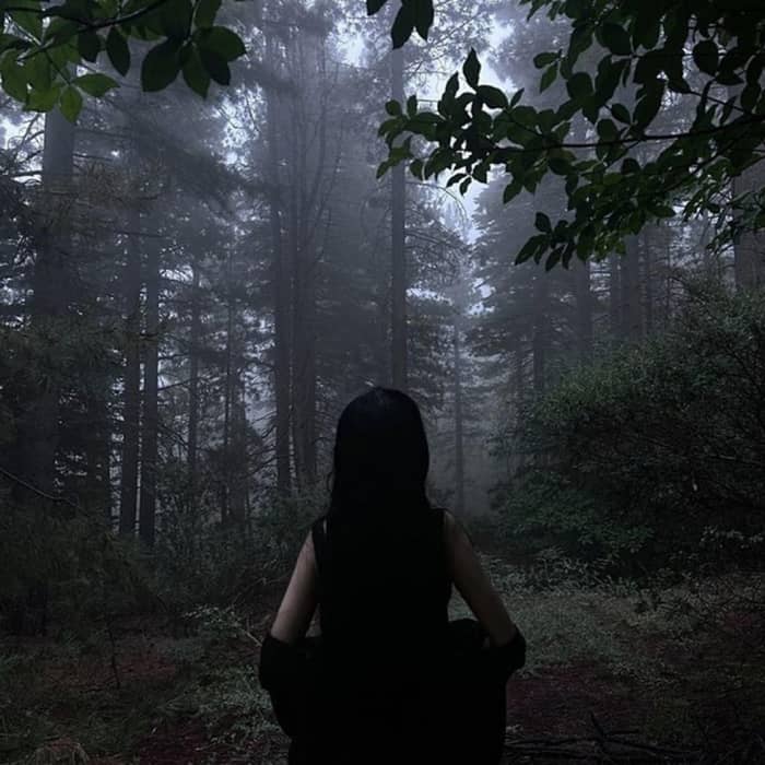 Anthony Rodia cover image