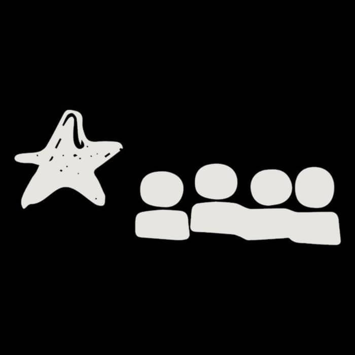 Starsailor cover image