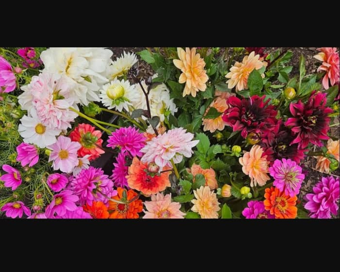 Summer Saturday Sessions U-pick Flowers tickets