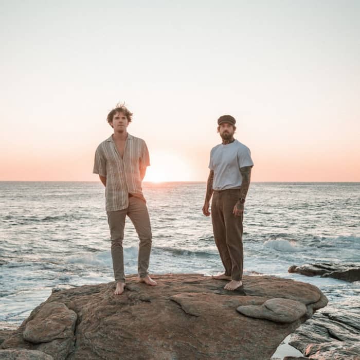 Salt Tree cover image