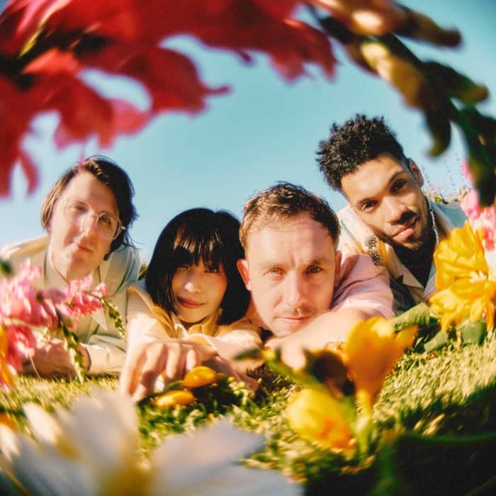 Phoebe Rings cover image