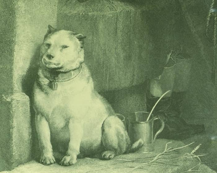 Pavlov's Dog tickets