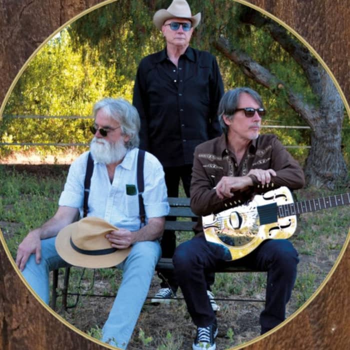 The Long Ryders cover image