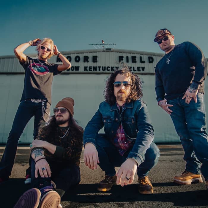 Black Stone Cherry cover image