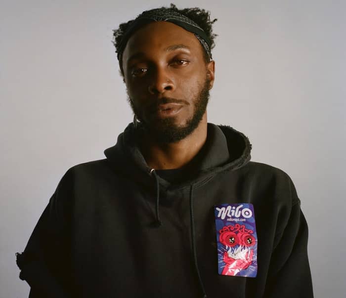 JPEGMAFIA cover image