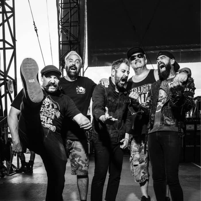 Zebrahead cover image