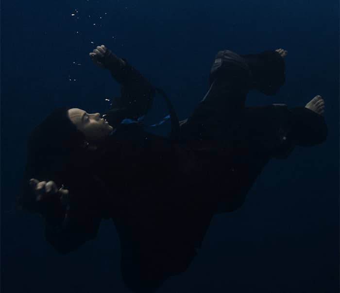 Billie Eilish Pulled into Crowd by Fan During Miami Concert