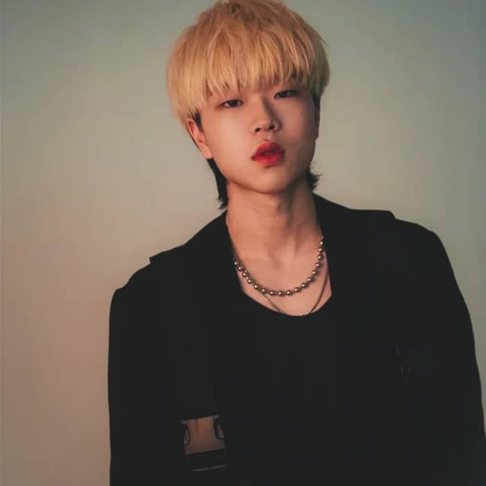 Ash Island cover image