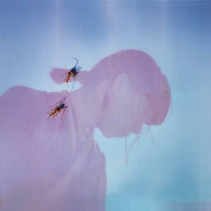 Ichiko Aoba cover image