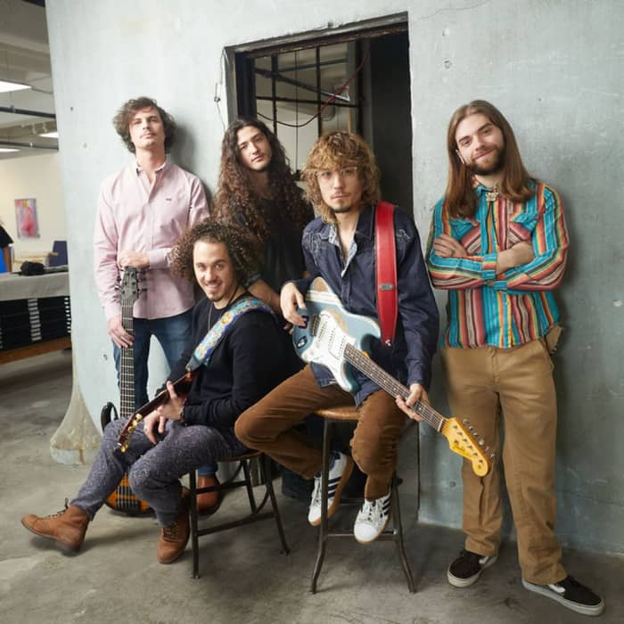 Dogs In A Pile cover image