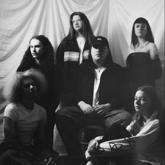 Birdwitch cover image