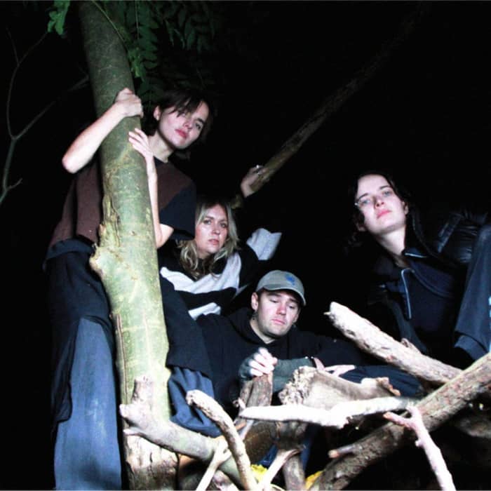 Goat Girl cover image