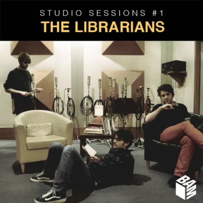 The Librarian cover image
