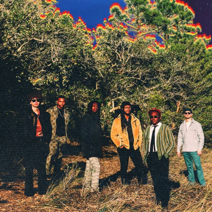 The Psycodelics cover image