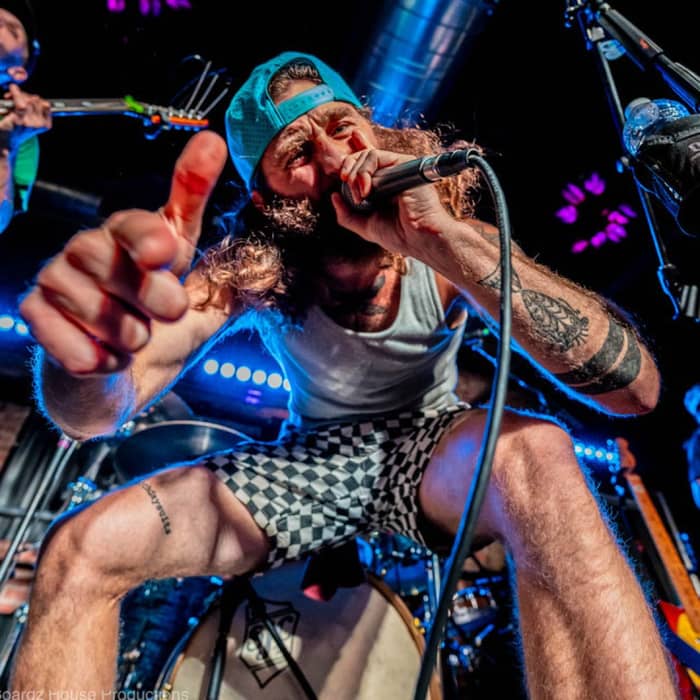 Dale and the ZDubs cover image