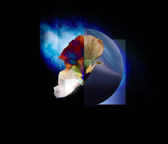 Plini tickets