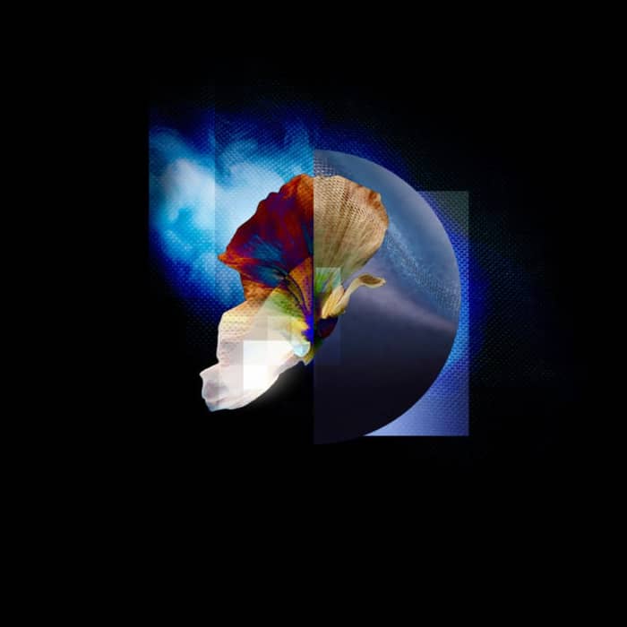 Sungazer cover image