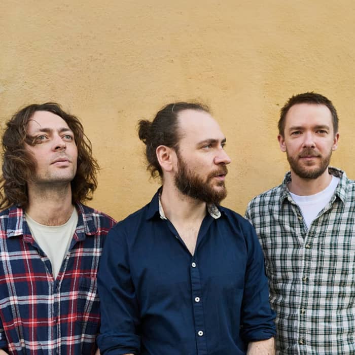 Mammal Hands cover image