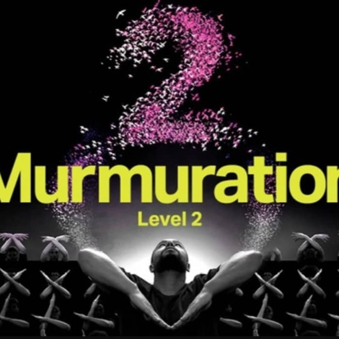 Murmuration, Sadeck Berrabah cover image