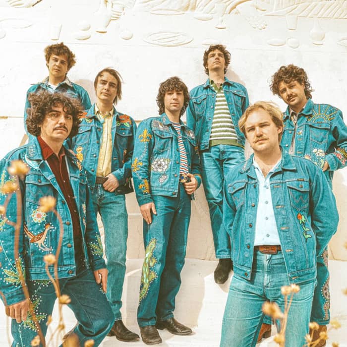 The Nude Party cover image