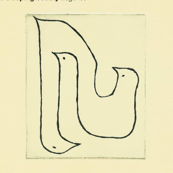 The Sleeping Beauty cover image