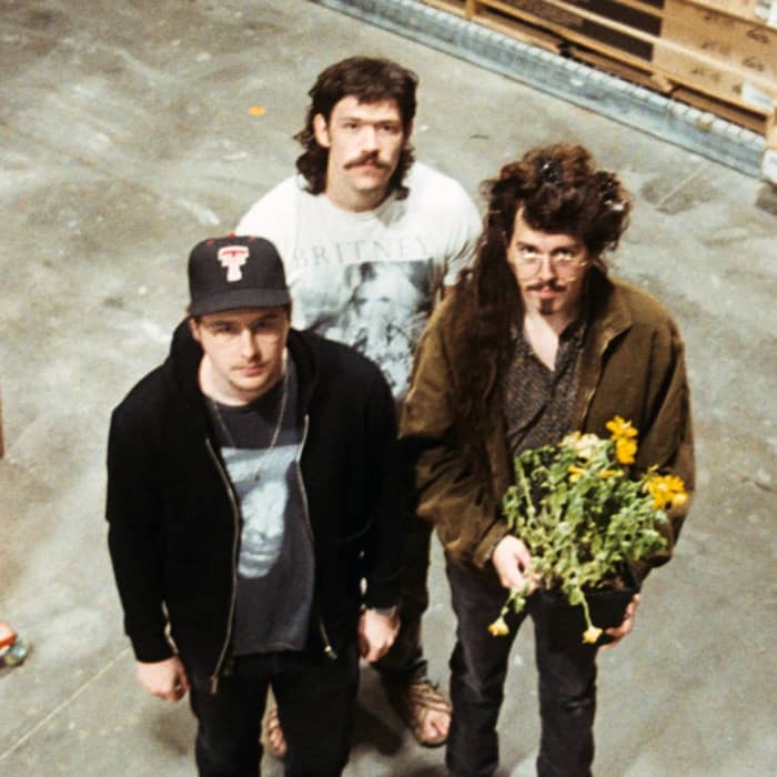 Shallowater cover image