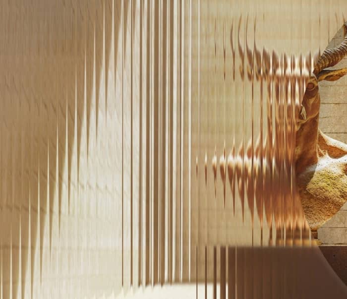 The Monster in the Maze cover image