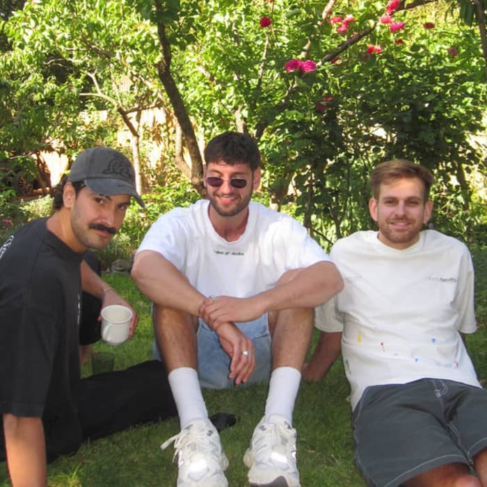 not without friends cover image