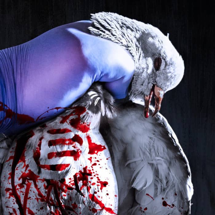 Napalm Death cover image