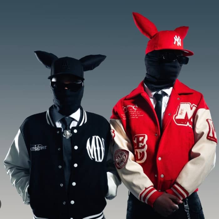 2WOBUNNIES cover image