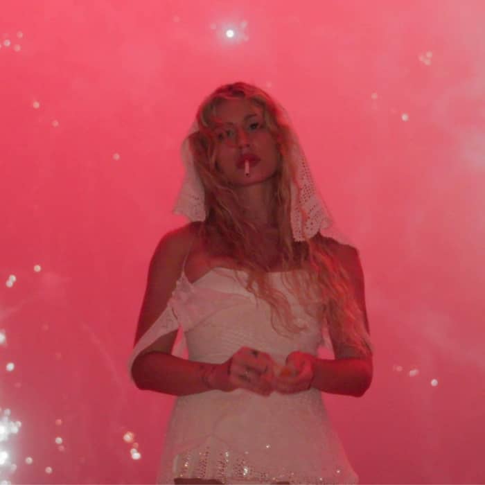 Slayyyter cover image