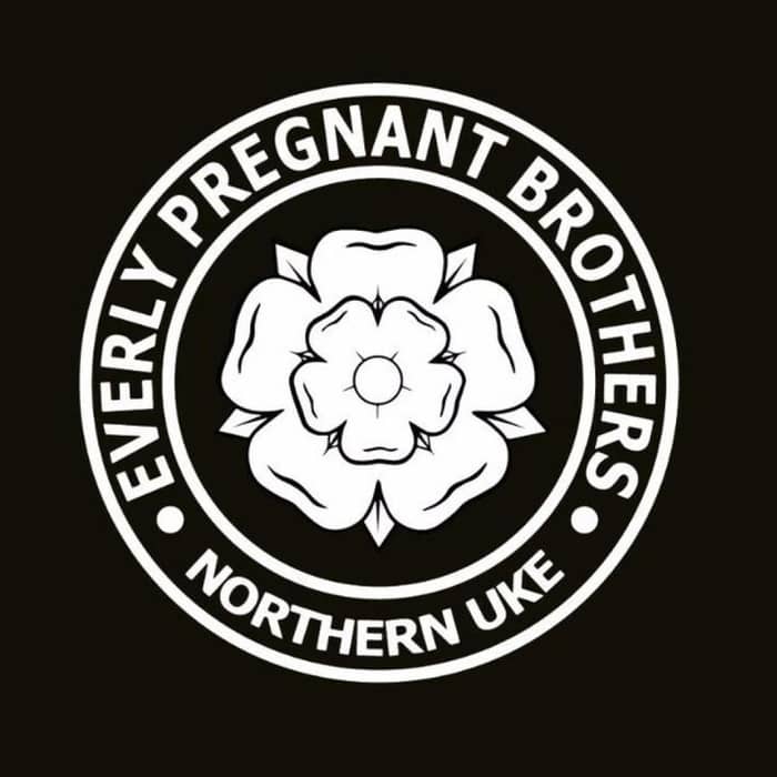 Everly Pregnant Brothers cover image