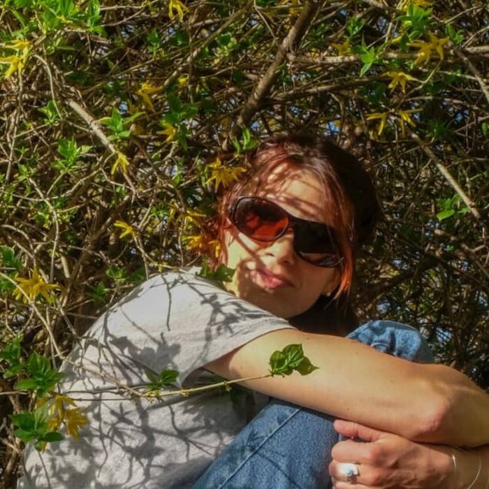 Ramzilla cover image