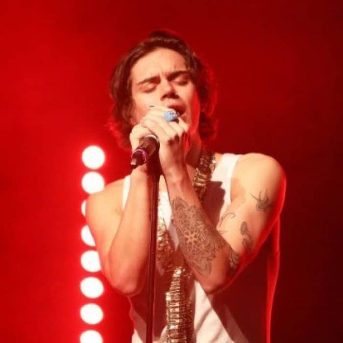 Harry Styles Tribute cover image