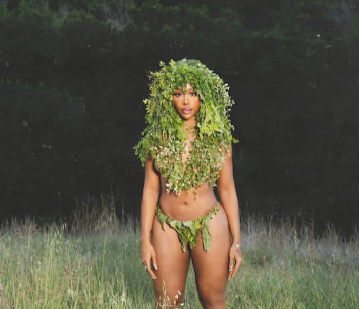 SZA's Recent Endeavors: Tribute Performances and Collaborations Spark Public Interest